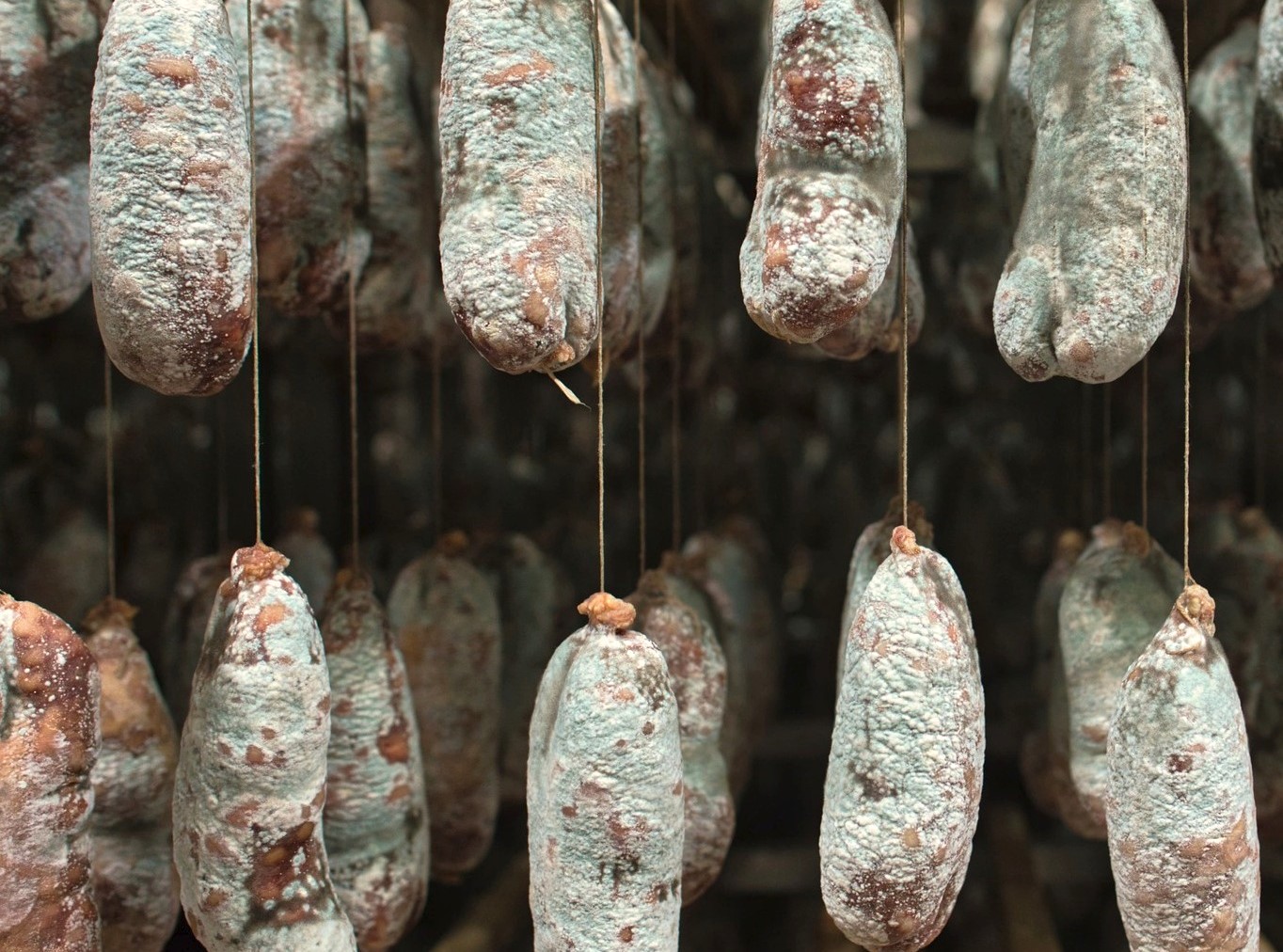 Comment conserver et prolonger la durée de vie d’un saucisson